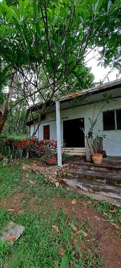 Pai Yard Guest House Exterior foto